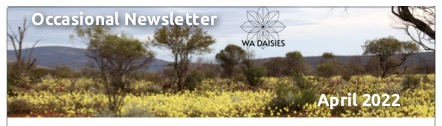2022 WAD News Header