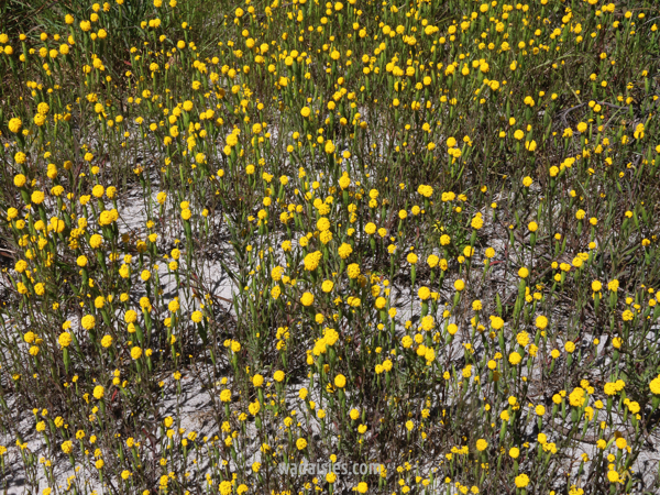 Stacks Image 392